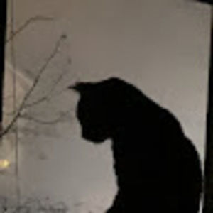 Meet your Posher, Ella